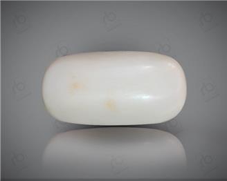 Natural White Coral ( Safed Mooga) Certified 8.10 CTS. ( 91531 )